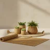 Home and Garden