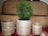Cane Round Planter Set of 3 image 1