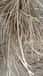 Natural Rattan Peel - Weaving Material - Indian Quality - 2mm to 2.5mm image 3
