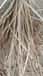 Natural Rattan Peel - Weaving Material - Indian Quality - 2mm to 2.5mm image 5