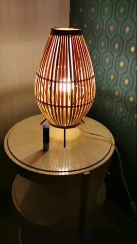 Modern oval shapped bamboo stand lamp image 1