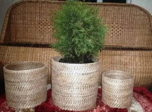 Cane Round Planter Set of 3 image 1